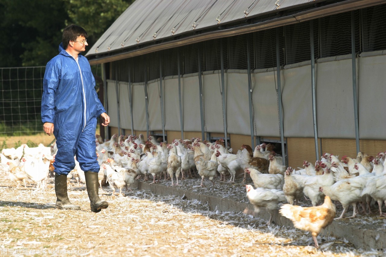 動物飼養(yǎng)員的專業(yè)指南 如何做好動物飼養(yǎng)工作